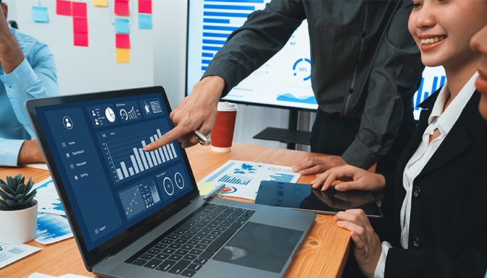 Custom Accounting Practice Management Software